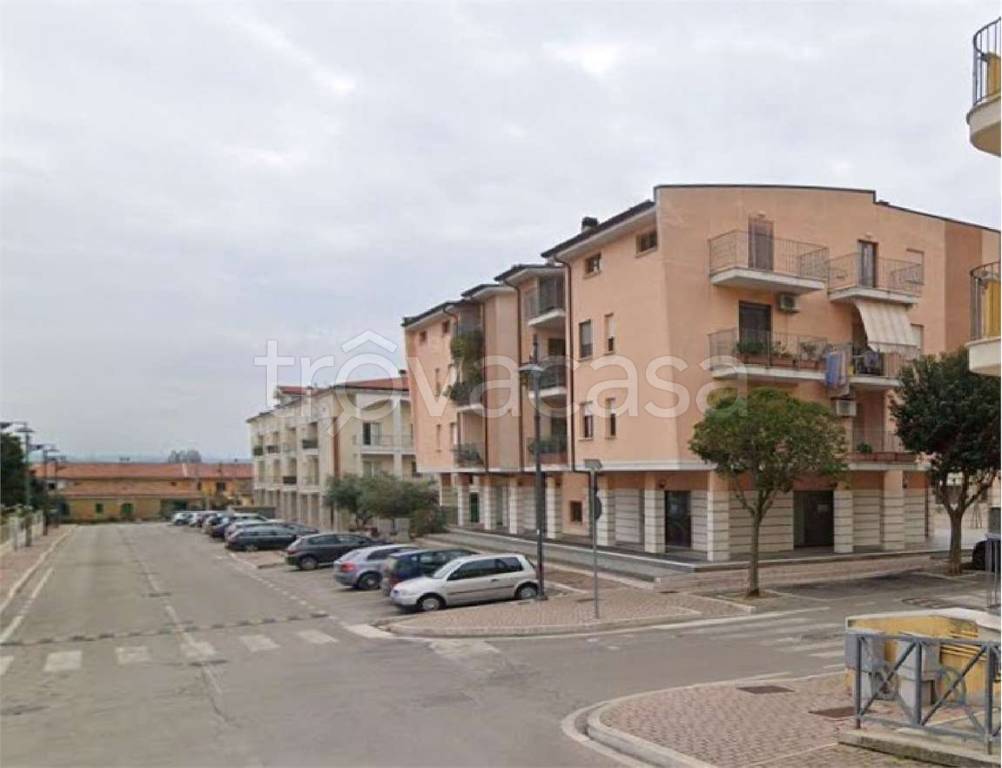 immagine annuncio 10 di 15