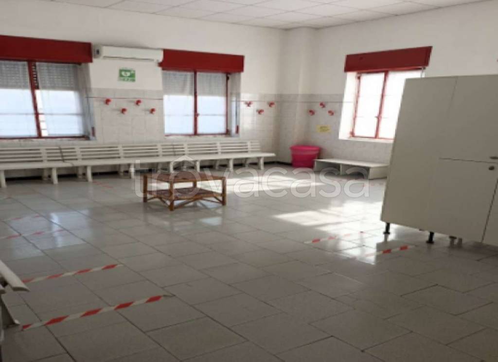immagine annuncio 5 di 9