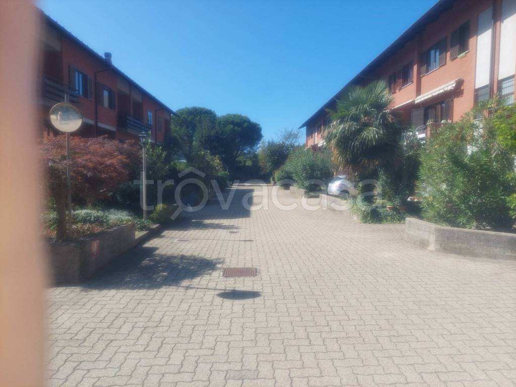 immagine annuncio 5 di 15