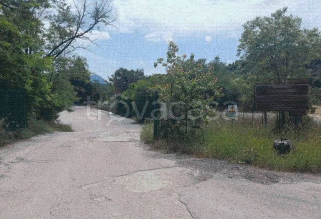 immagine annuncio 8 di 11