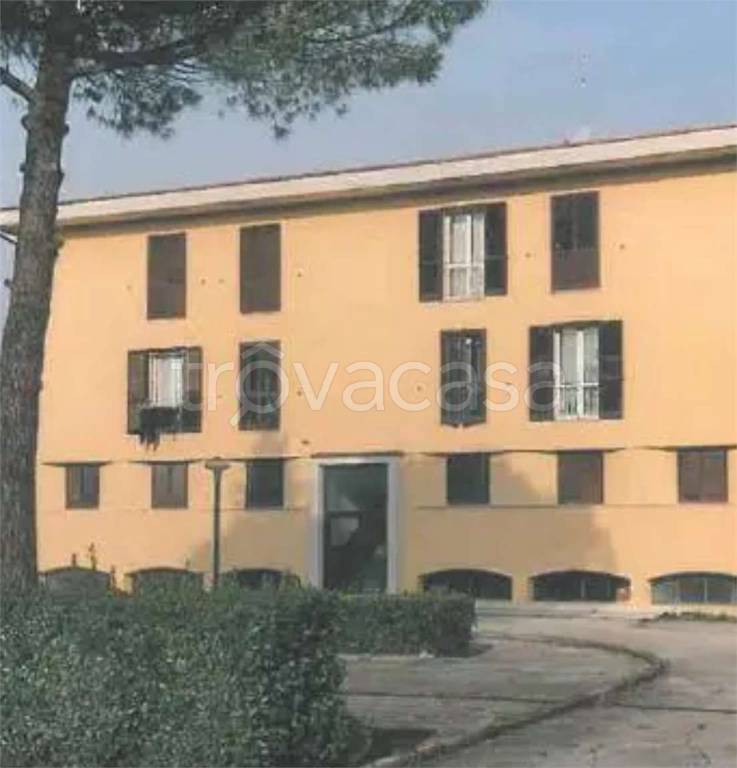 immagine annuncio 1 di 12