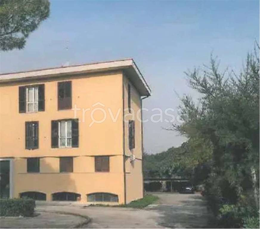 immagine annuncio 10 di 12