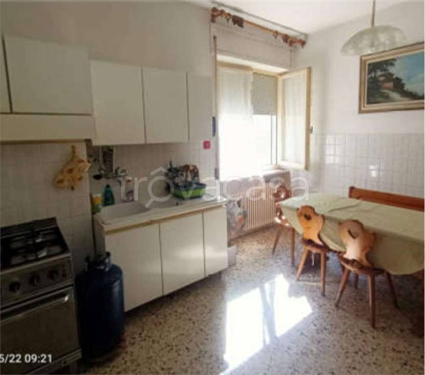 immagine annuncio 9 di 14