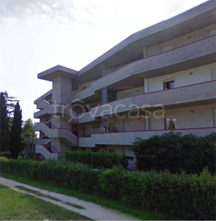 immagine annuncio 4 di 13