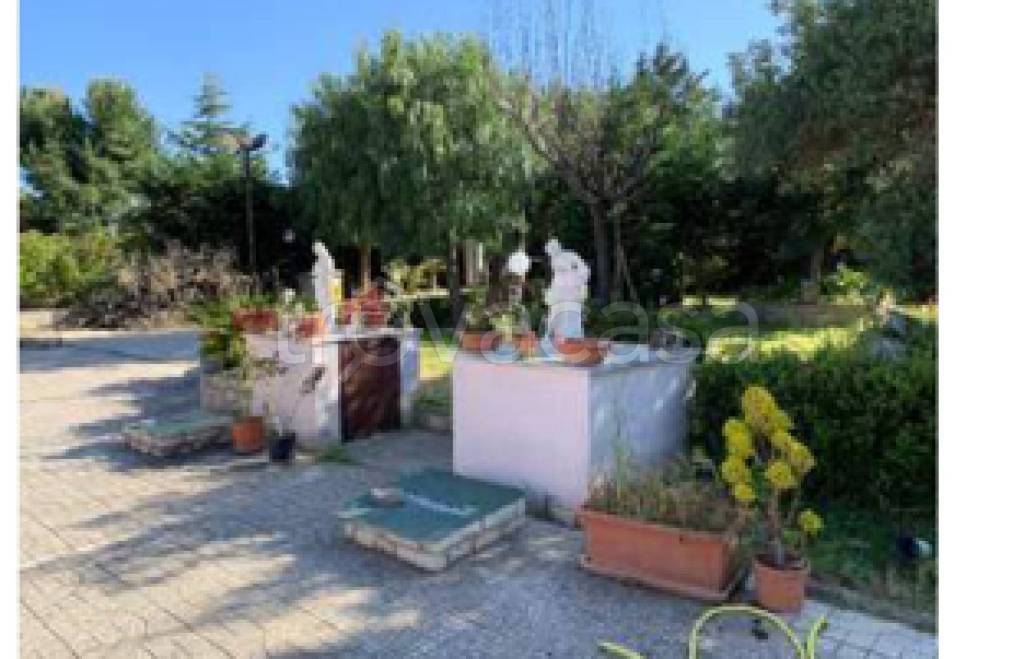 immagine annuncio 9 di 11