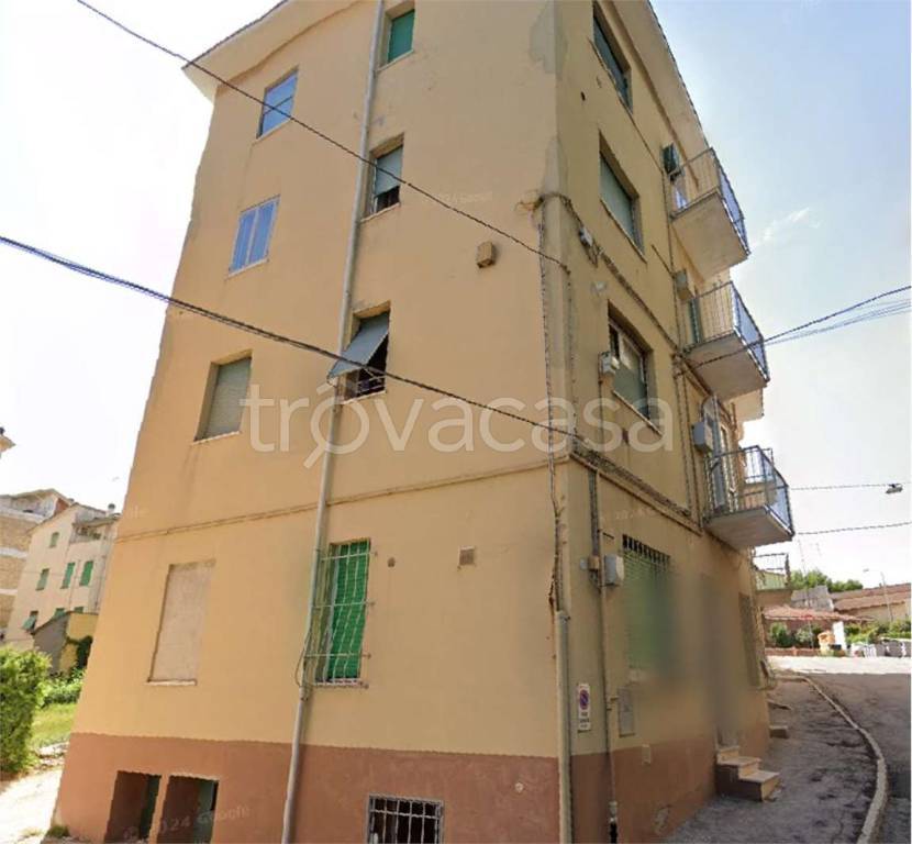 immagine annuncio 7 di 14