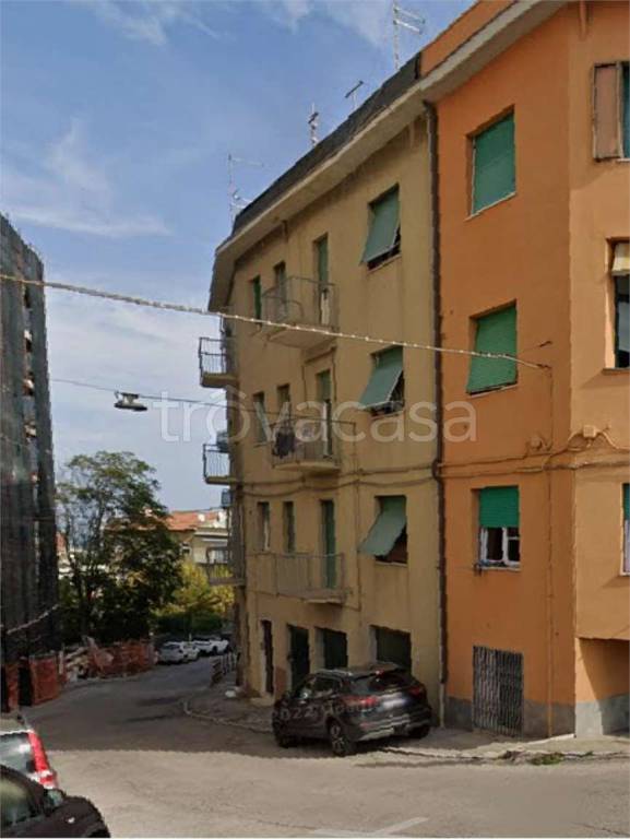immagine annuncio 9 di 14