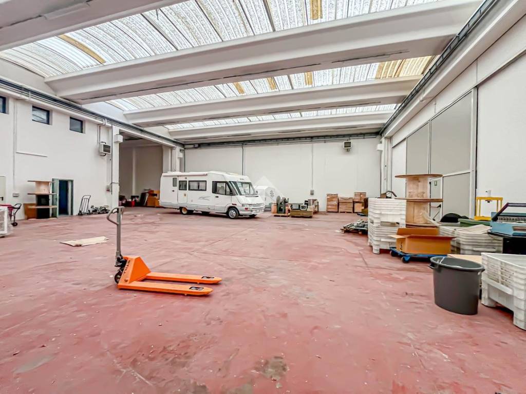 immagine annuncio 9 di 15