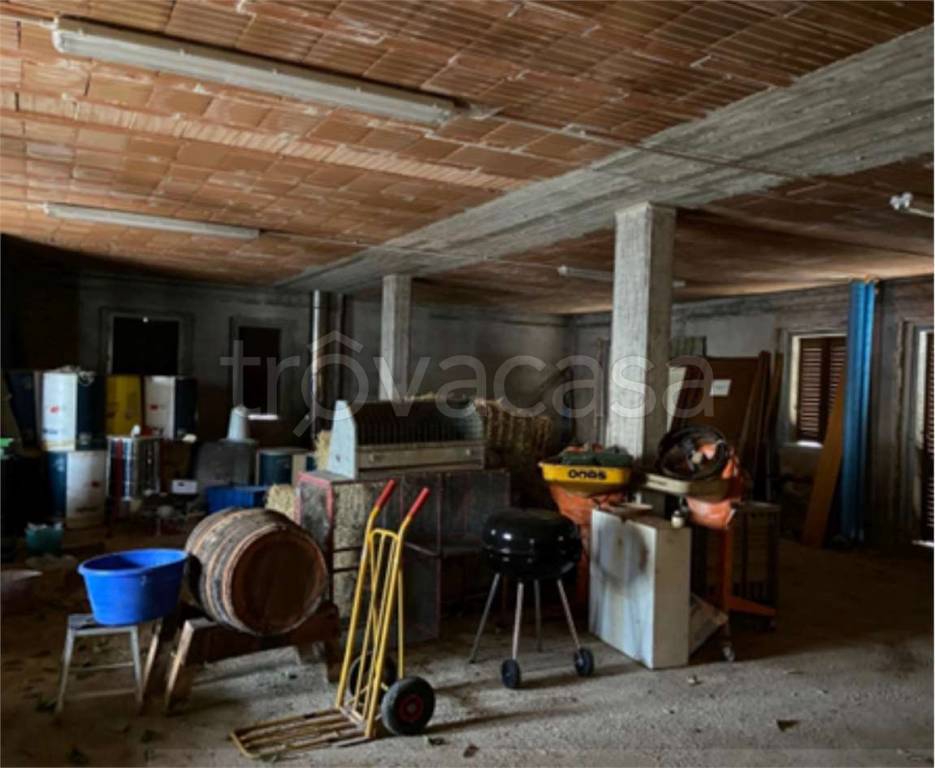 immagine annuncio 6 di 14