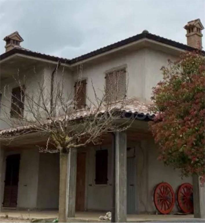 immagine annuncio 11 di 14