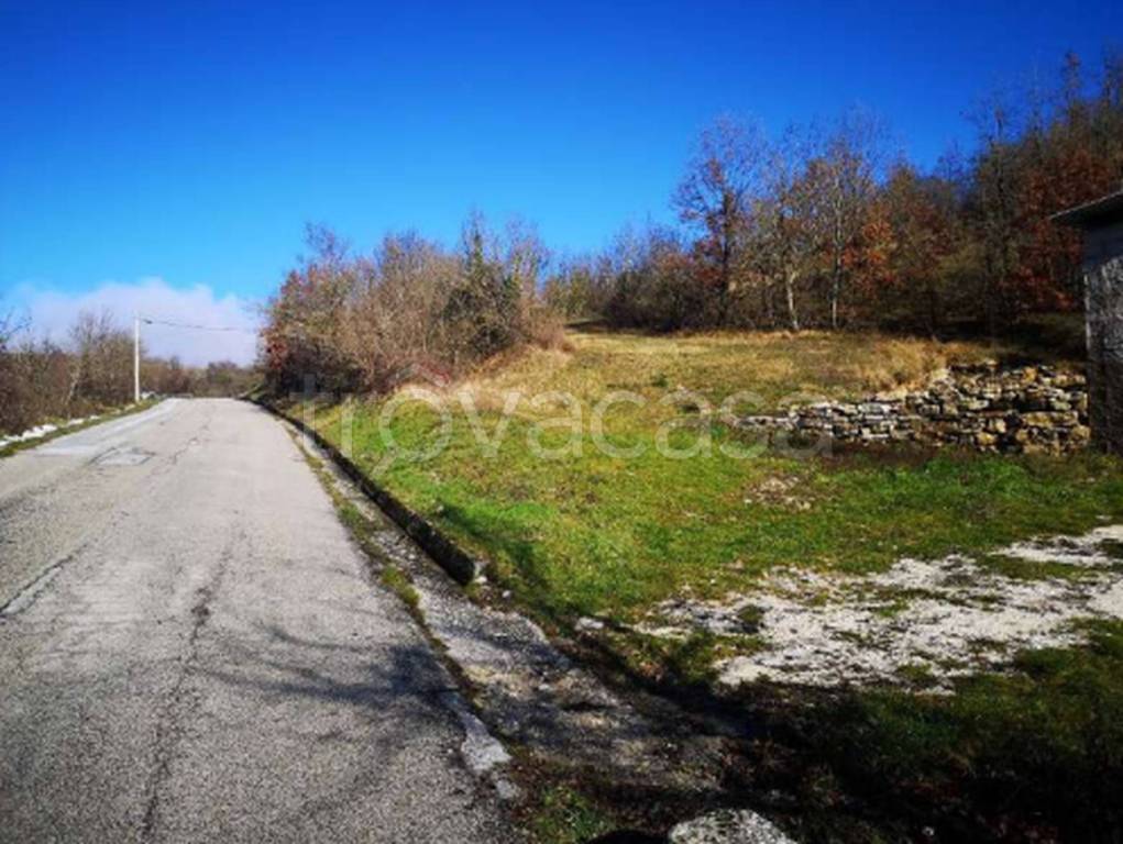 immagine annuncio 6 di 11