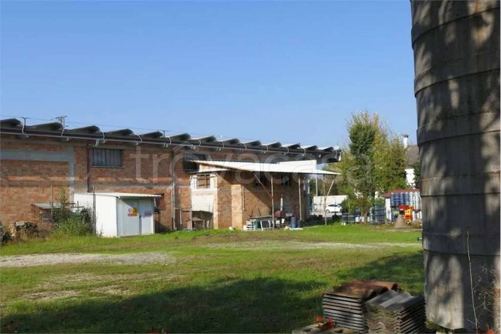 immagine annuncio 6 di 12