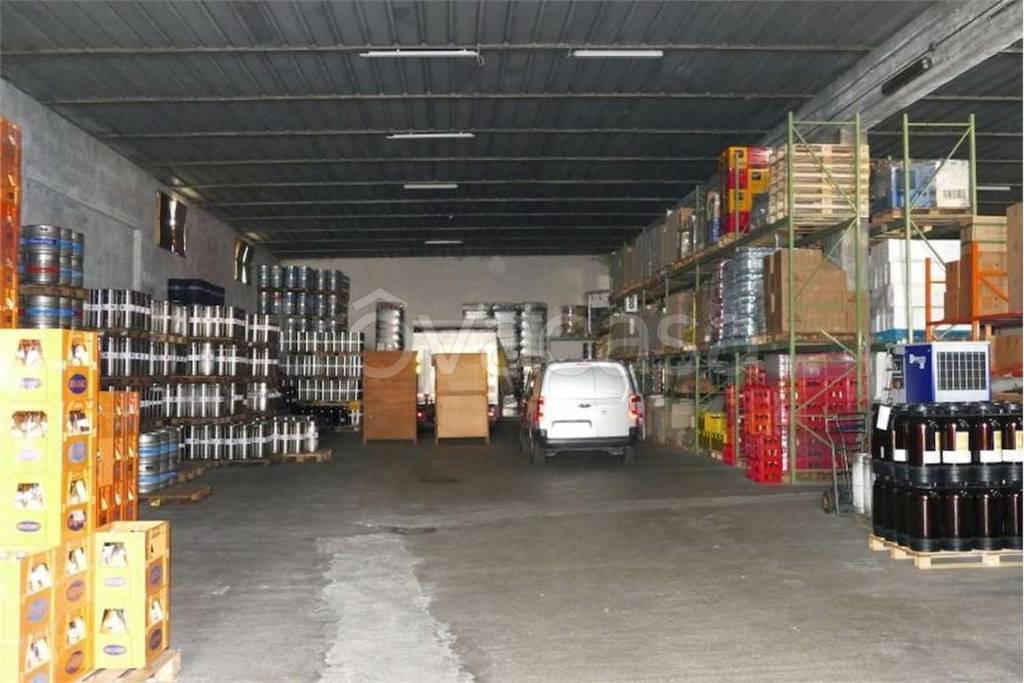 immagine annuncio 9 di 12