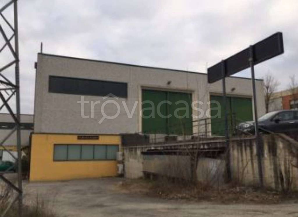 immagine annuncio 2 di 10