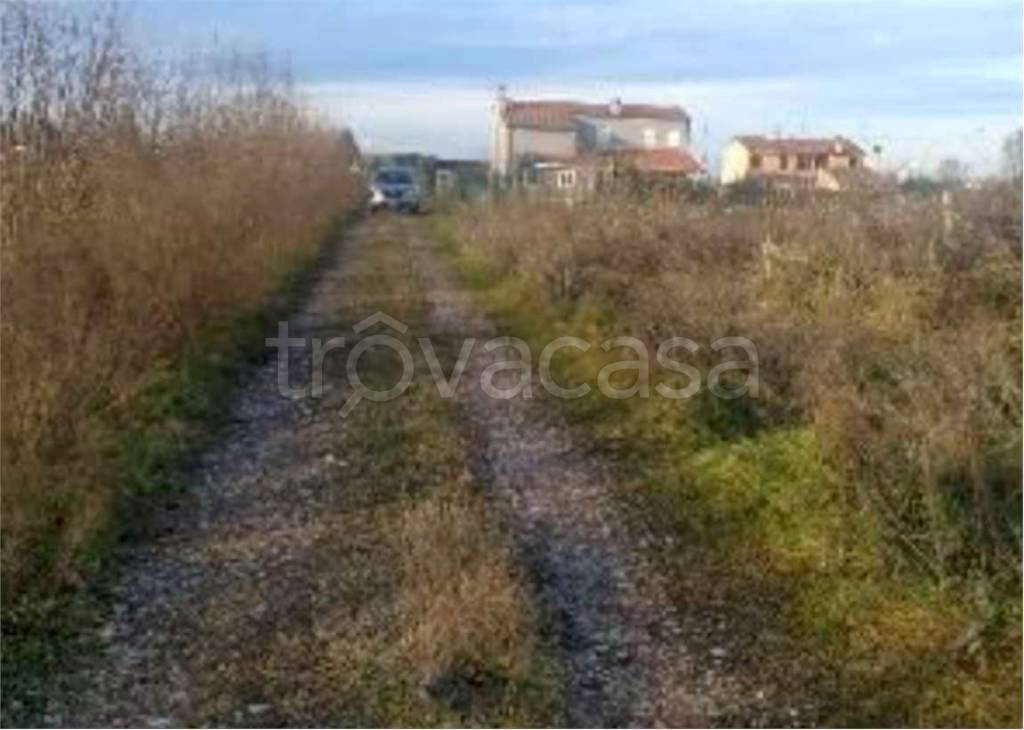 immagine annuncio 3 di 11