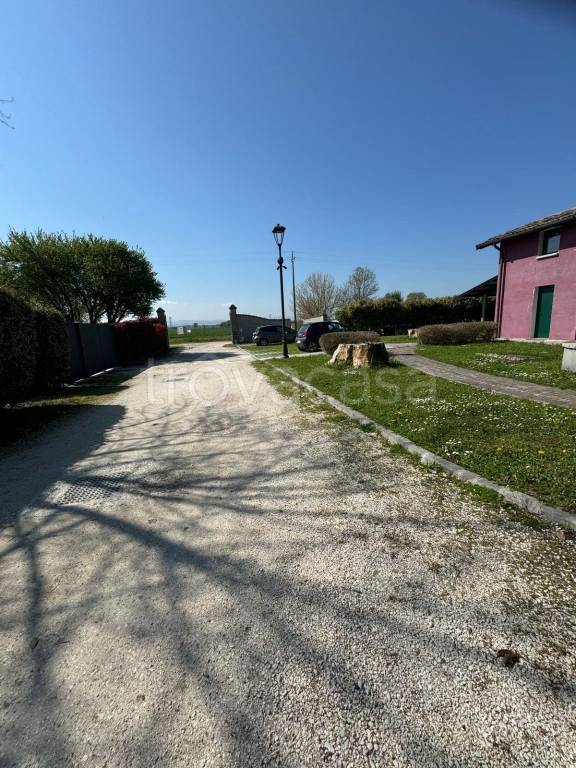 immagine annuncio 5 di 12