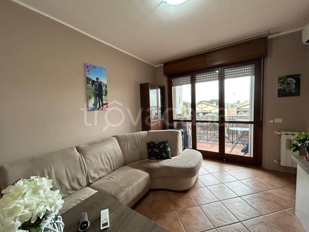 immagine annuncio 12 di 15