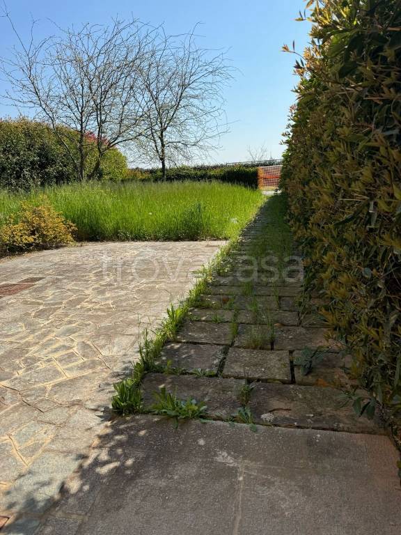 immagine annuncio 5 di 9