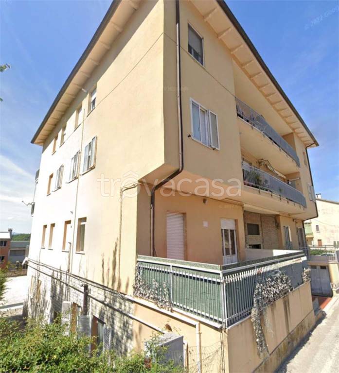 immagine annuncio 13 di 14