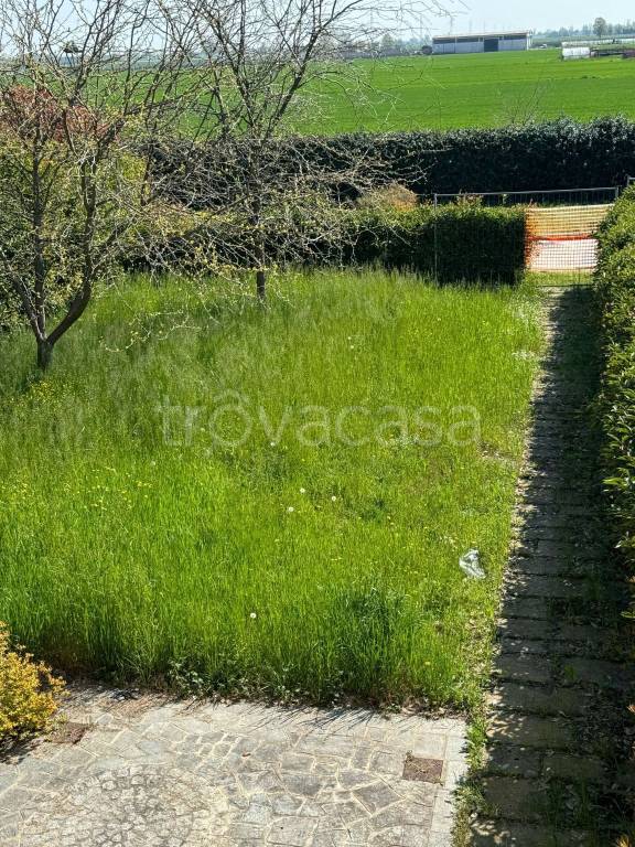 immagine annuncio 8 di 9