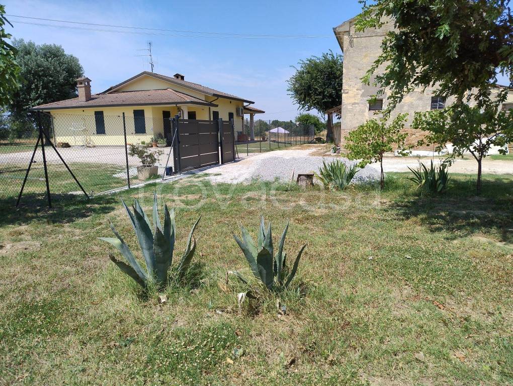 immagine annuncio 10 di 14