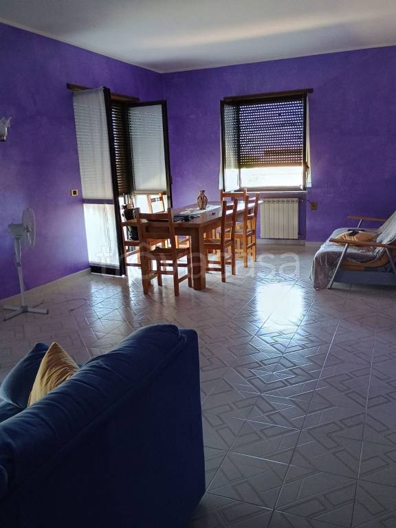 immagine annuncio 4 di 14