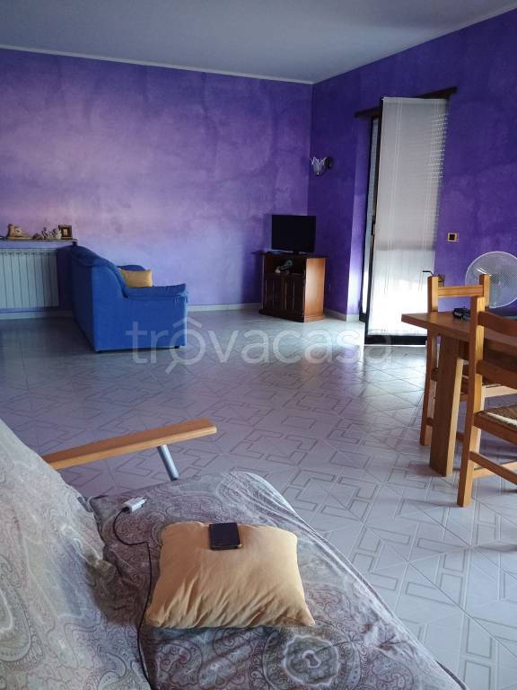 immagine annuncio 9 di 14