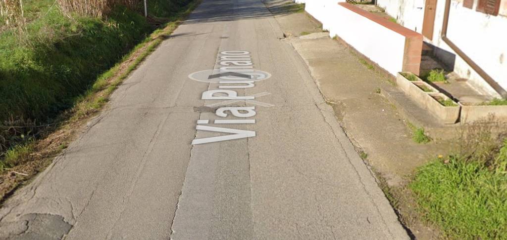 immagine annuncio 4 di 14