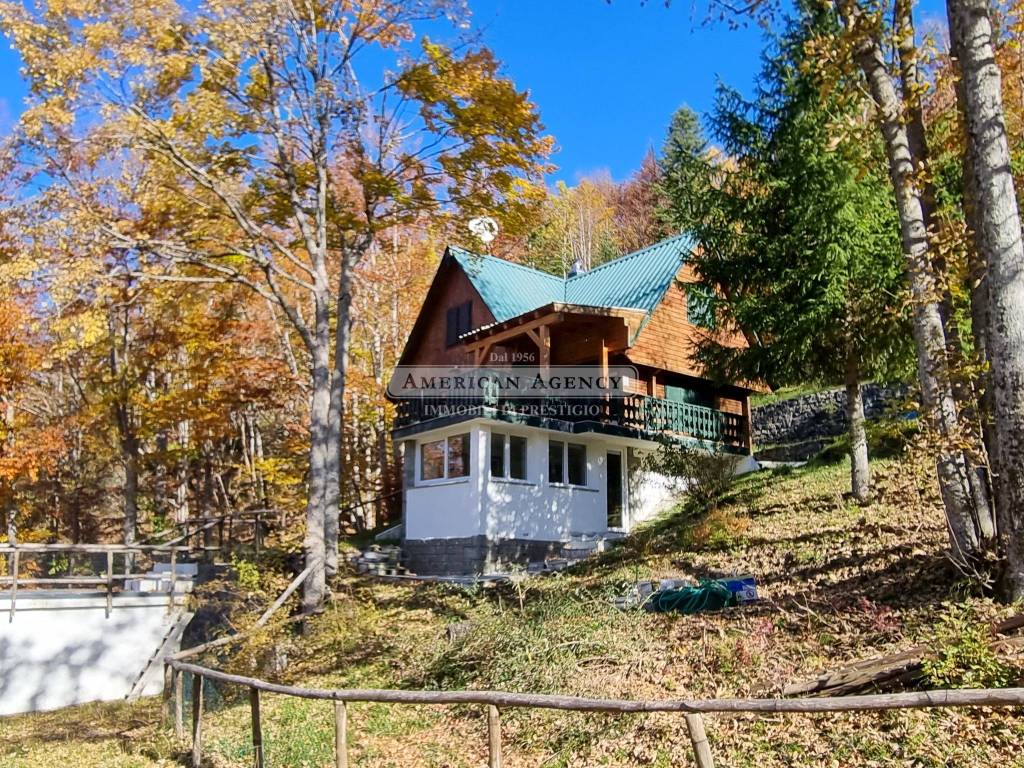 immagine annuncio 1 di 11