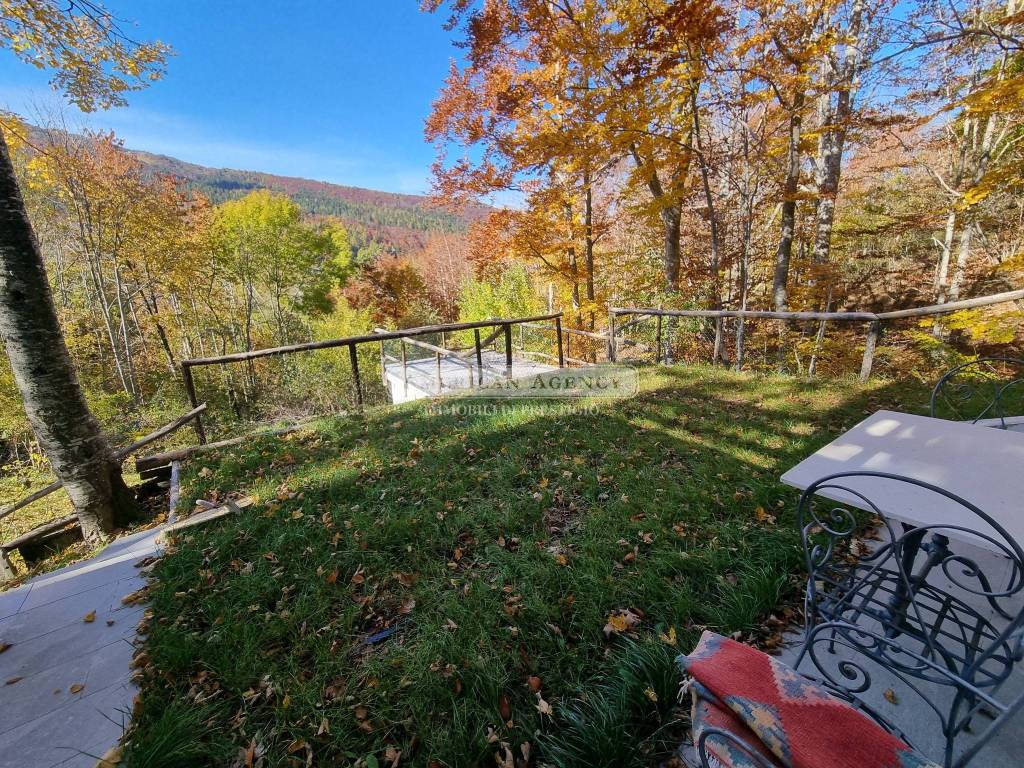 immagine annuncio 9 di 11