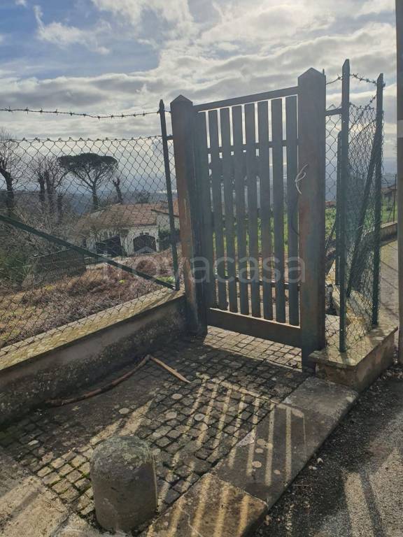 immagine annuncio 7 di 8