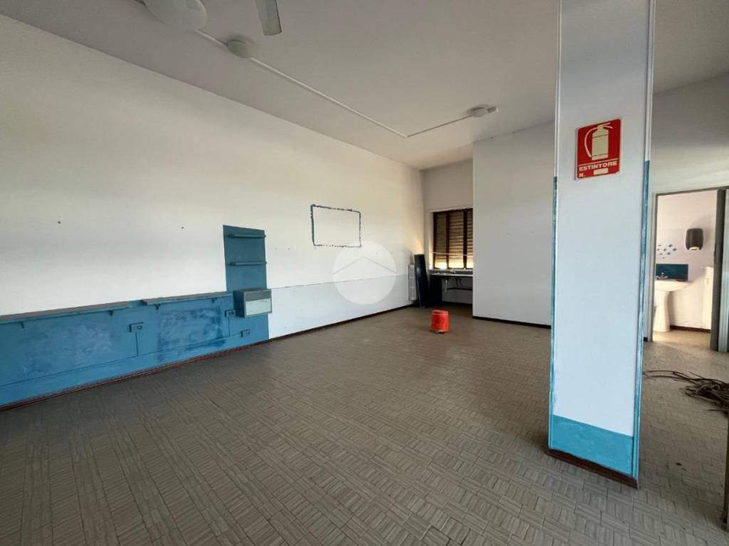 immagine annuncio 3 di 9