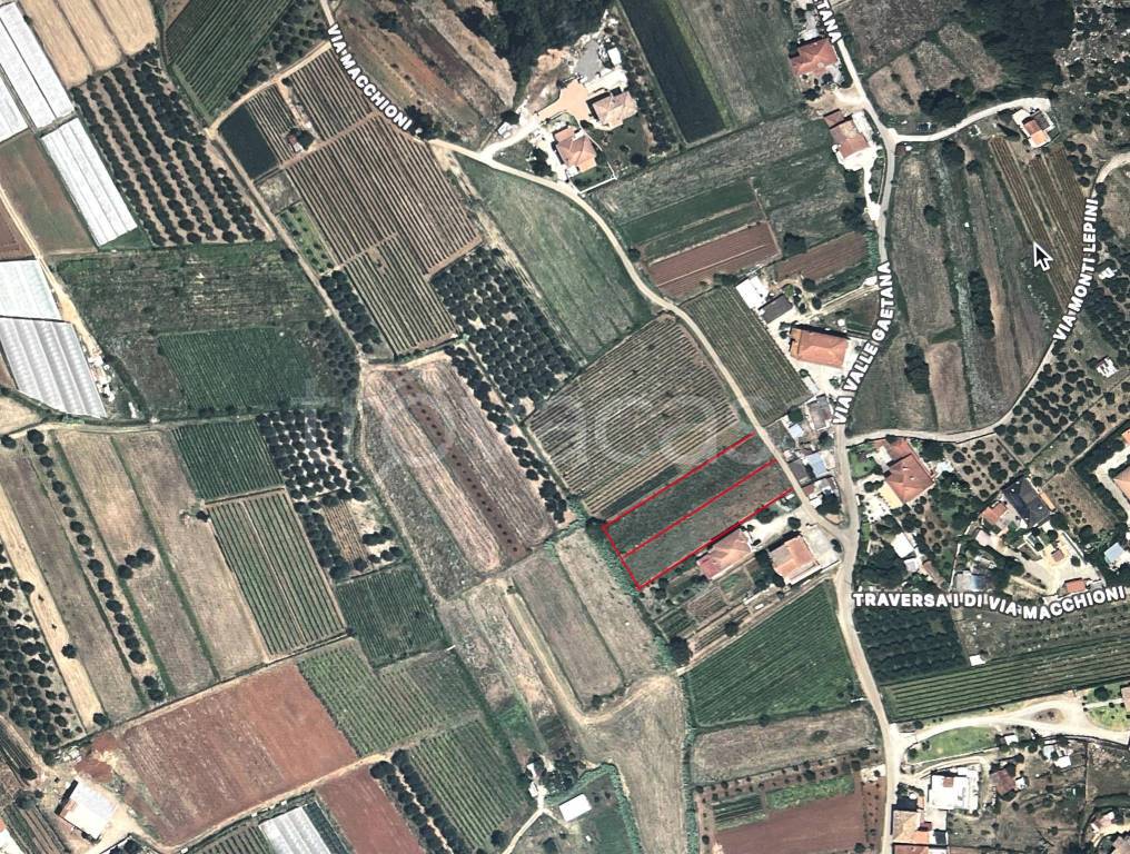 immagine annuncio 3 di 4