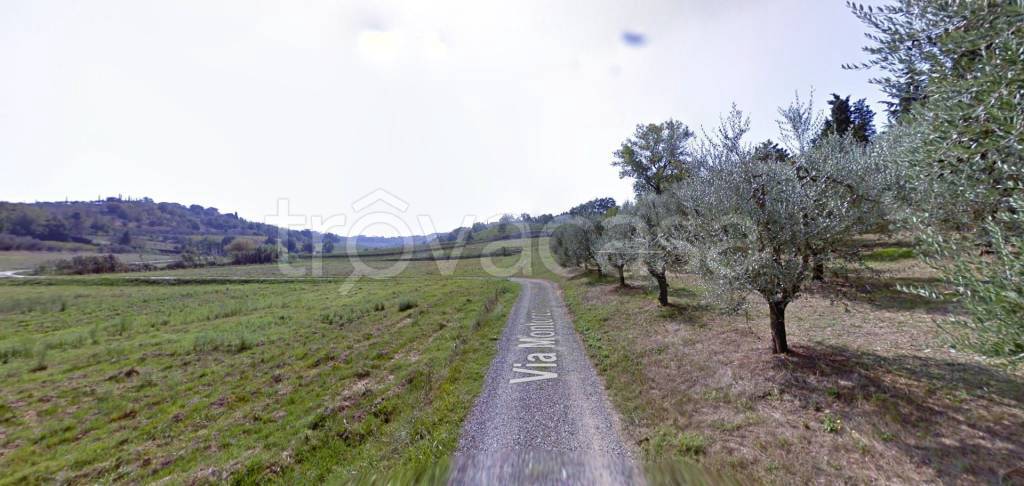 immagine annuncio 6 di 14