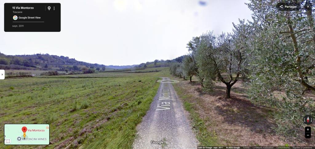 immagine annuncio 7 di 14