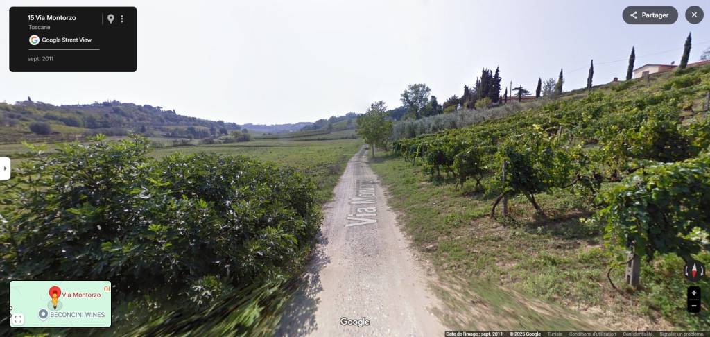 immagine annuncio 9 di 14