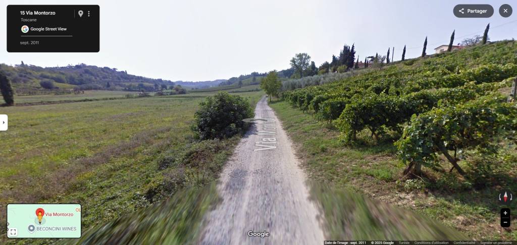 immagine annuncio 10 di 14