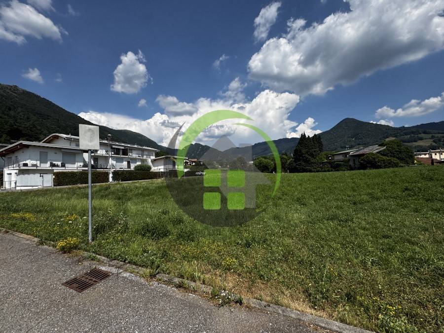 immagine annuncio 5 di 8