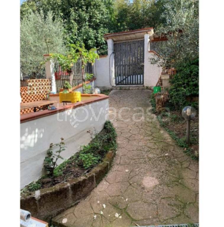 immagine annuncio 8 di 14