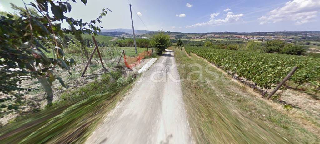 immagine annuncio 7 di 11