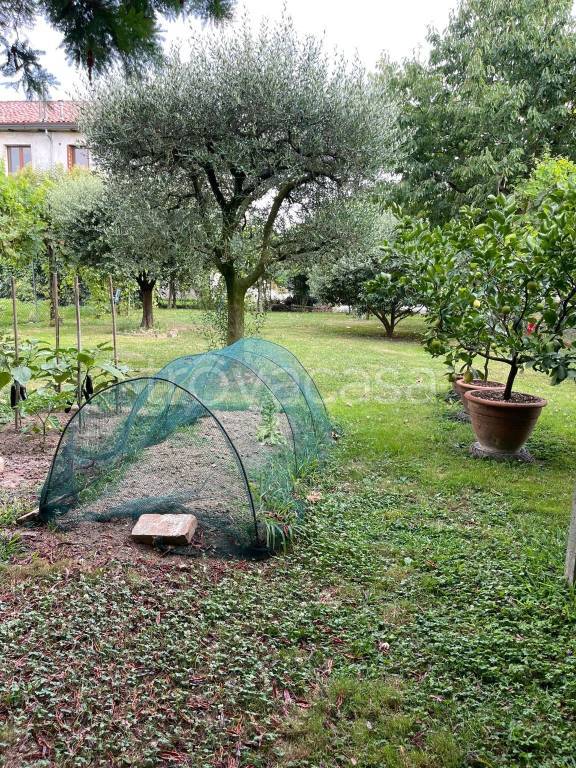 immagine annuncio 2 di 12