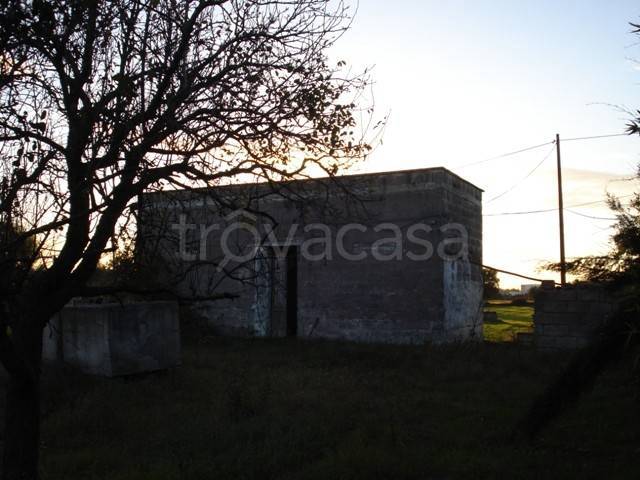 immagine annuncio 3 di 11