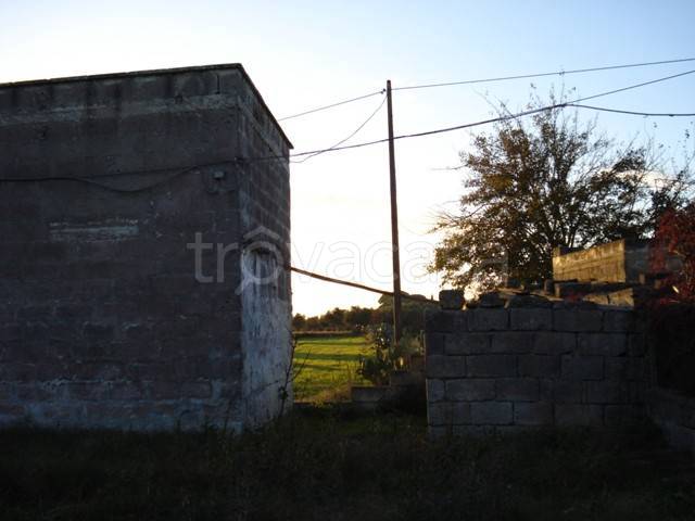 immagine annuncio 5 di 11