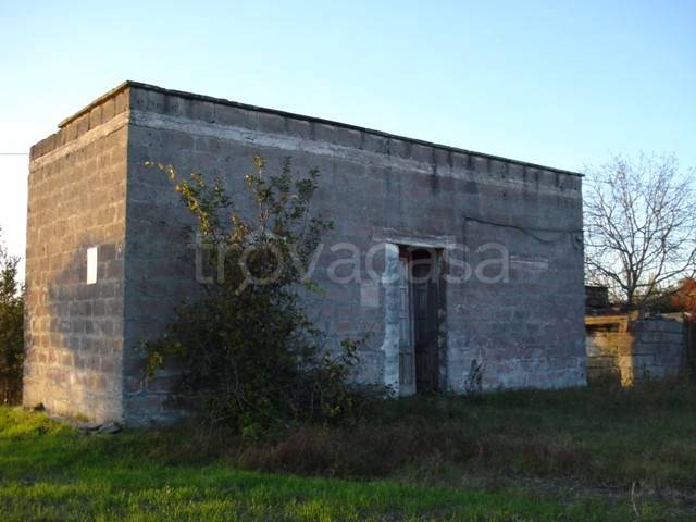 immagine annuncio 6 di 11