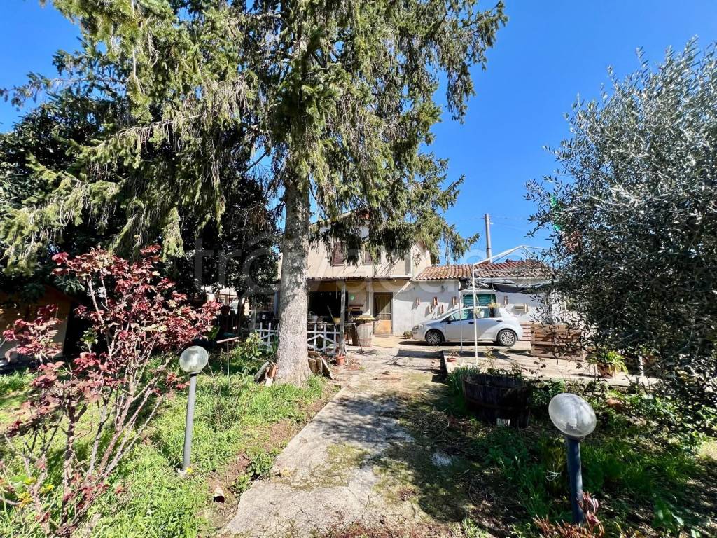 immagine annuncio 8 di 11