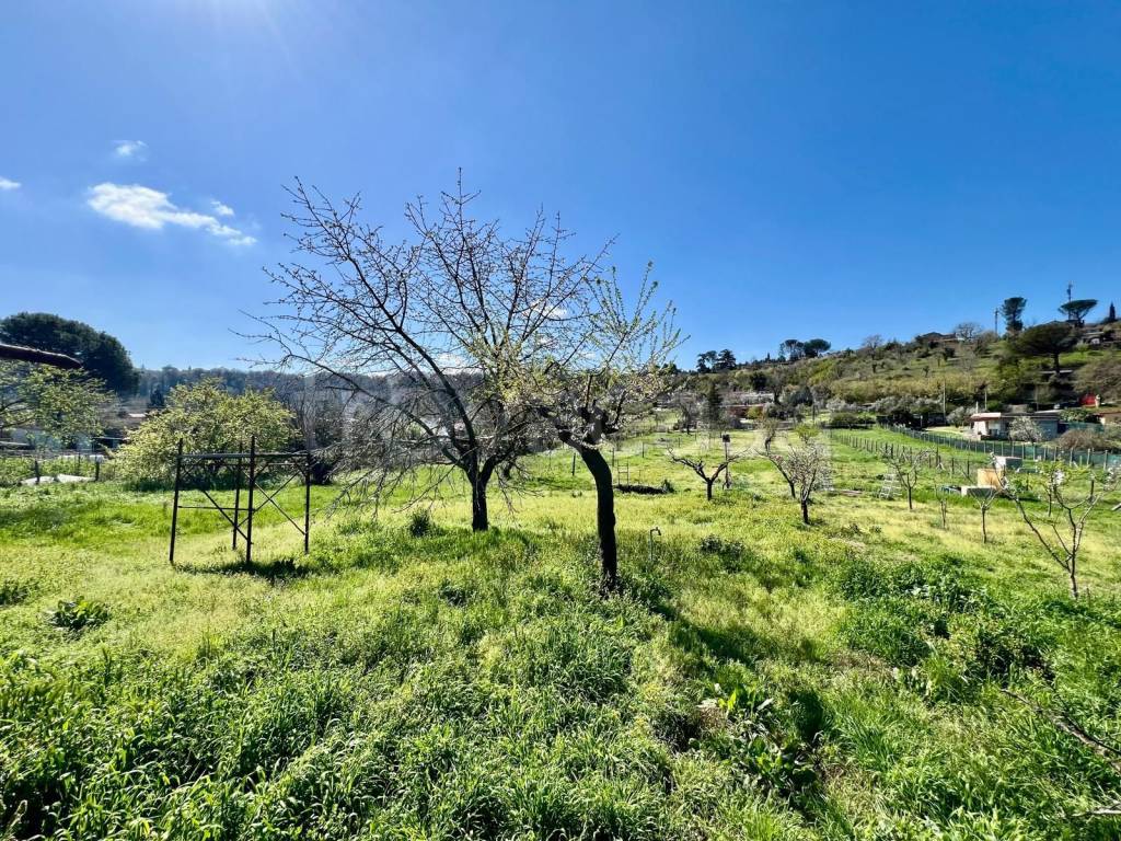 immagine annuncio 7 di 11