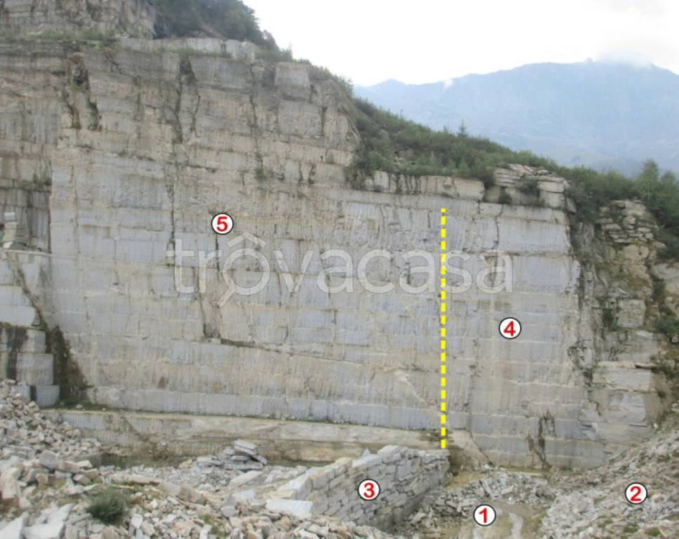 immagine annuncio 5 di 11