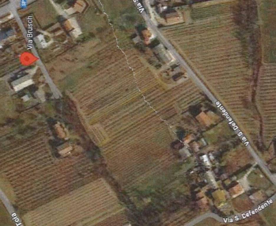 immagine annuncio 7 di 11