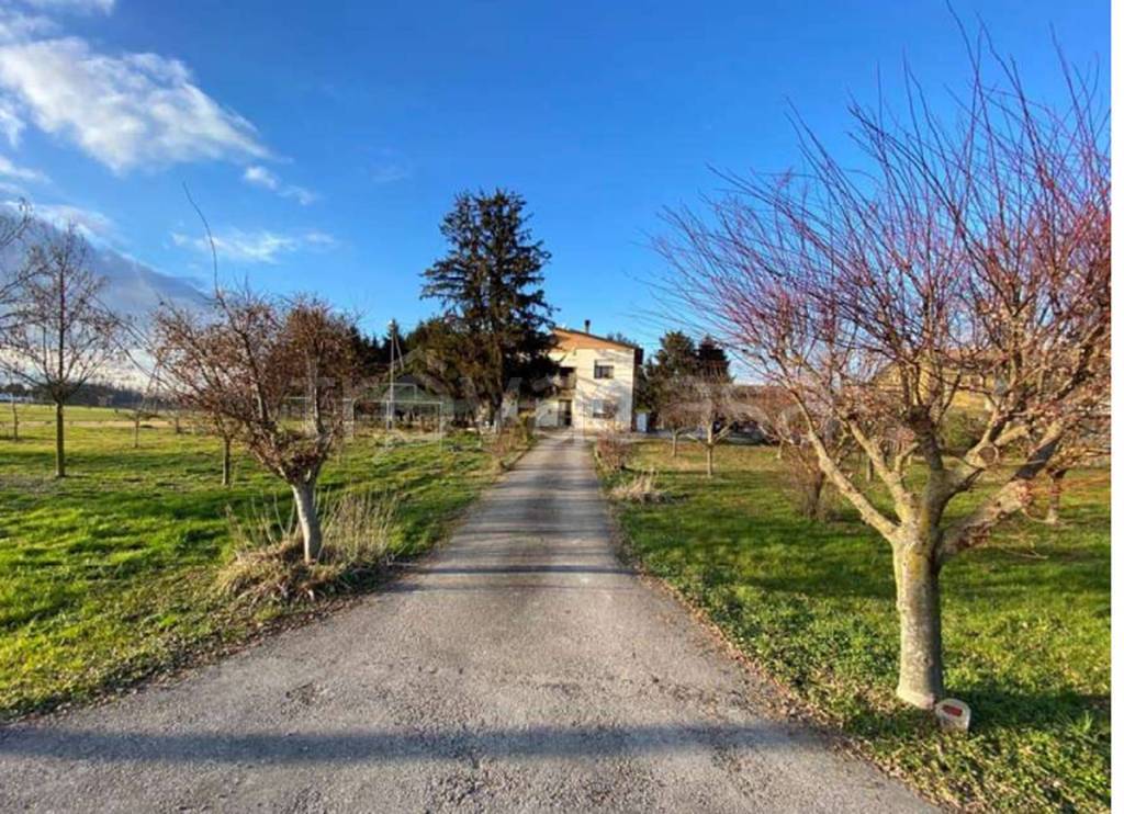 immagine annuncio 8 di 13