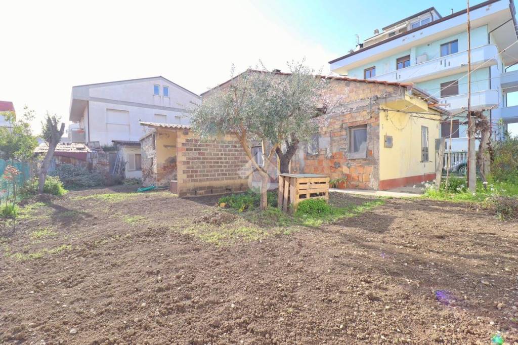immagine annuncio 10 di 14